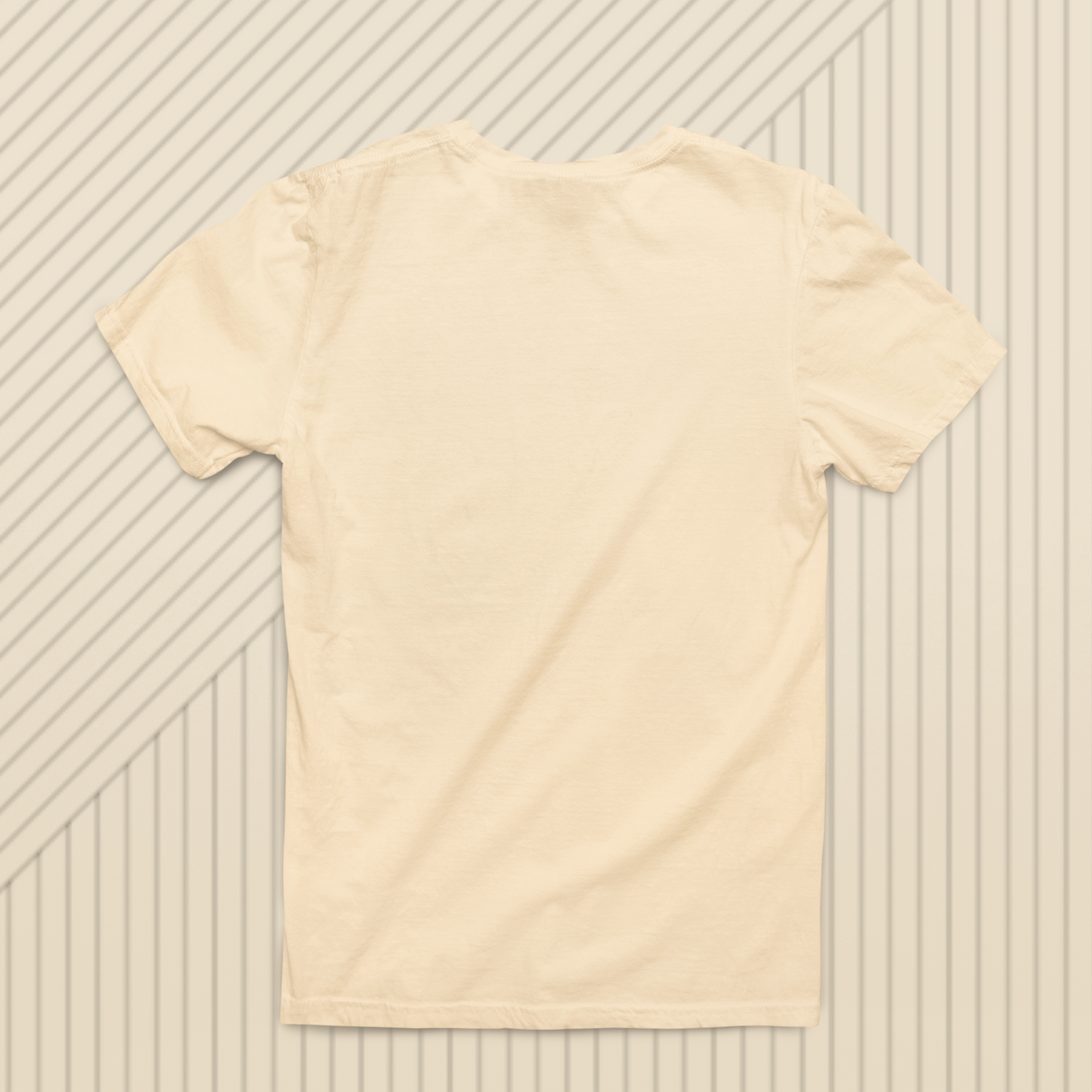 Essential Duo T-Shirt Set (Beige, Navy Blue T-Shirt Combo)